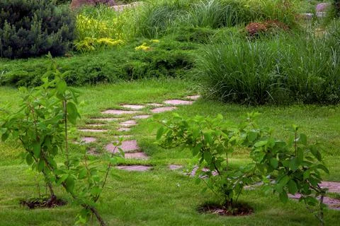 Rough ornamental stone path paved in green backyard lawn. Stock Photos