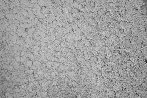 Rough painted surface texture of gray color. Stock Photos
