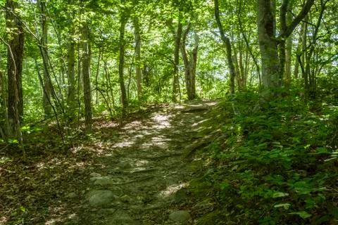 Rough path along hillside Stock Photos