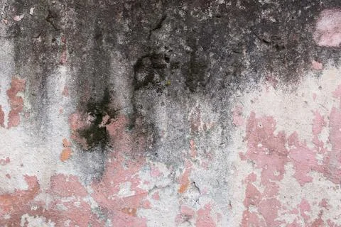 Rough plastered wall Stock Photos