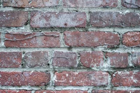 Rough red brick wall background Stock Photos