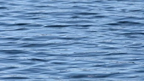 Rough Ripples On A Lake Vídeos de archivo 333976694