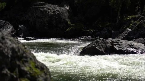 Rough River and the rocks Stock Footage 81980688