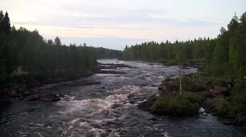Rough river flows through the forest. Stock Footage 8510531