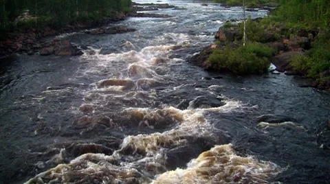 Rough river flows through the forest Stock Footage 8511609