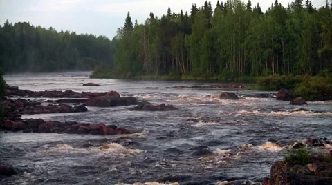 Rough river flows through the forest Stock Footage 8511636