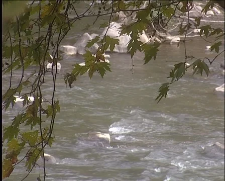 Rough river Stock Footage 999048
