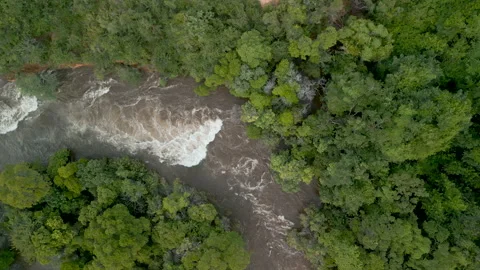 Rough River Stock Footage 242269214