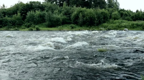 Rough river in forest Stock Footage 51702451