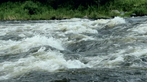 Rough river in forest Stock Footage 51705531