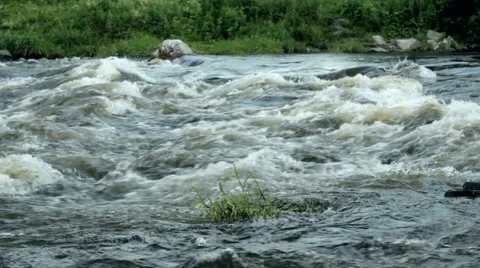 Rough river in forest Stock Footage 51705674