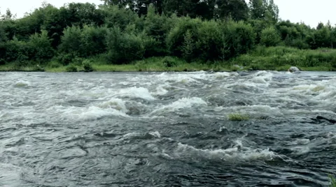 Rough river in forest Stock Footage 51705724