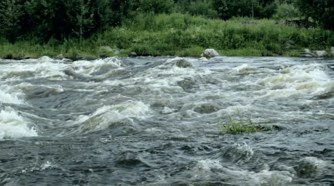 Rough river in forest Stock Footage 51705787