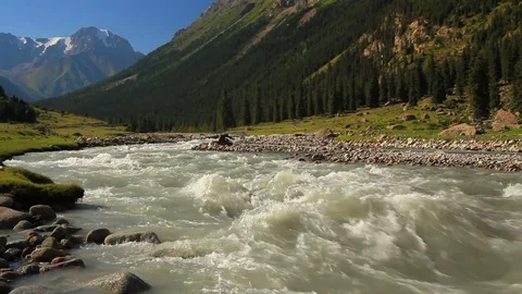 Rough river in the mountains. Kyrgyzstan Stock Footage 79056099