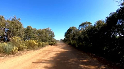 Rough road through the forest as seen from the back of a fast moving car. Dust, 스톡 동영상 98748205