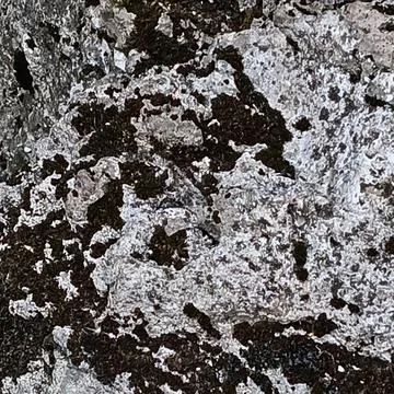 Rough rock stone surface with dark moss texture background Stock Photos