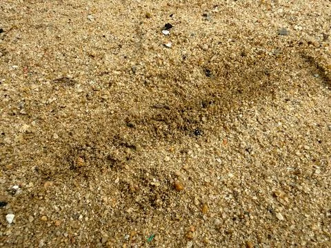 Rough Sand Surface Texture. Stock Photos