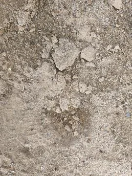 Rough Sandy Ground Texture with Small Pebbles and Dried Soil Clumps Stock-Fotos