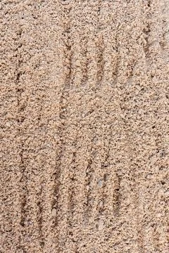 Rough sandy surface Stock Photos