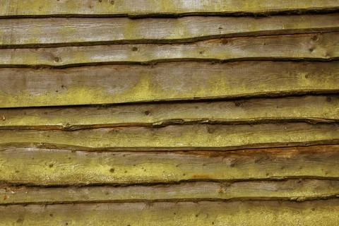 Rough Sawn Rustic Timber Feather Board Cladding with Green Alae Staining Stock Photos