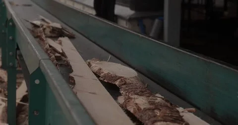 Rough sawn timber moving along green industrial conveyor belt during wood 스톡 동영상 346315369