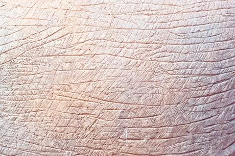 Rough scratch cement wall texture background Stock Photos