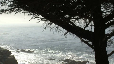 Rough sea along the oceanic drive Stock Footage 5134013
