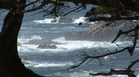 Rough sea along the oceanic drive Stock Footage 5134431