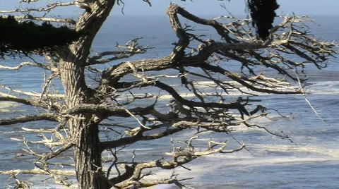 Rough sea along the oceanic drive Stock Footage 5134856
