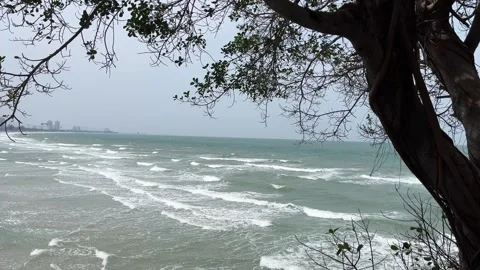 Rough sea at the coast Stock-Footage 339865023