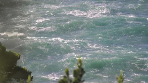 Rough sea through pine trees Stock Footage 168776050