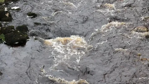 Rough shallow moorland spring river water over rocks at Brants Ghyll Yorkshire Stock Footage 91073740