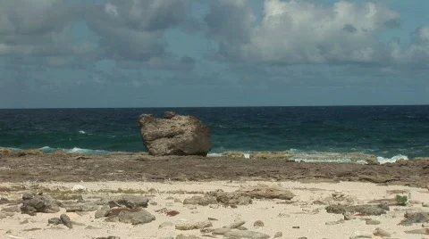 Rough shore &amp; waves - pan right Stock Footage 91113
