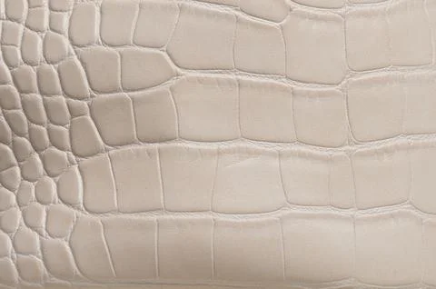 Rough snake leather background Foto stock