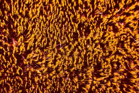 Rough Spiky Texture and Pattern in Fabric Stock Photos