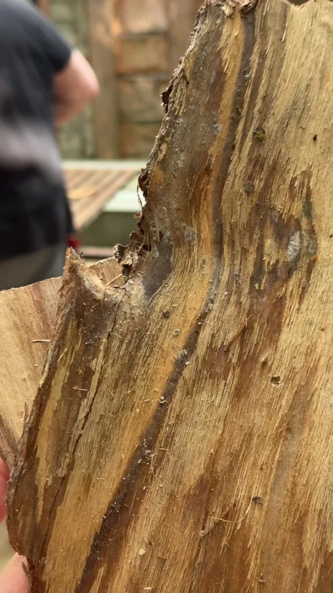 Rough Split Wood With Bark Close Up Stock Footage 342166540