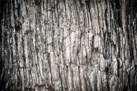 Rough stone surface abstract background Stock Photos