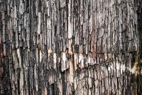 Rough stone surface abstract background Stock Photos