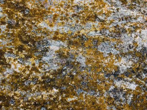 Rough stone surface from close with  moss texture Stock Photos