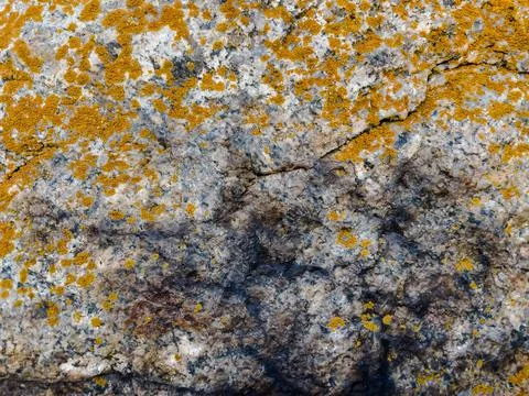 Rough stone surface from close with  moss texture Stock Photos