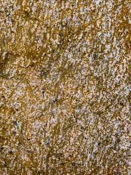Rough stone surface from close with  moss texture Stock Photos