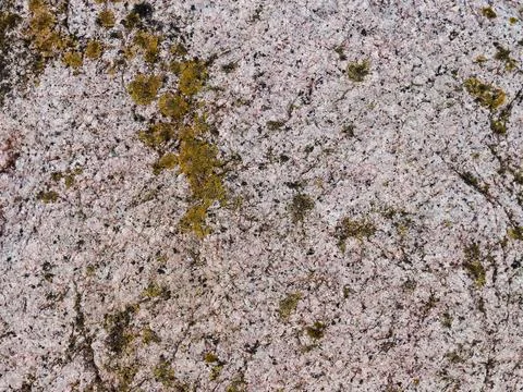 Rough stone surface from close with  moss texture Stockfoto's
