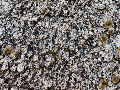 Rough stone surface from close with  moss texture Stock Photos