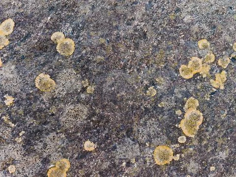 Rough stone surface from close with  moss texture Stock Photos