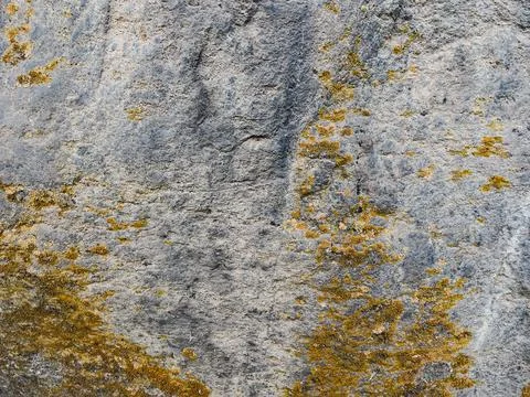 Rough stone surface from close with  moss texture Stock Photos