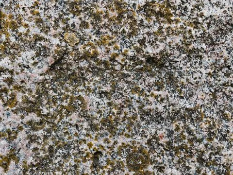 Rough stone surface from close with  moss texture Stock Photos