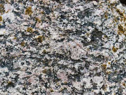 Rough stone surface from close with  moss texture Stock Photos