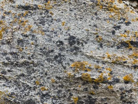 Rough stone surface from close with  moss texture Stock Photos