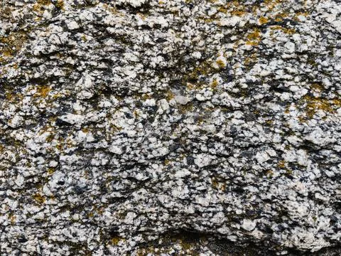 Rough stone surface from close with  moss texture Stock Photos