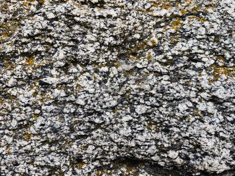 Rough stone surface from close with  moss texture Stock Photos